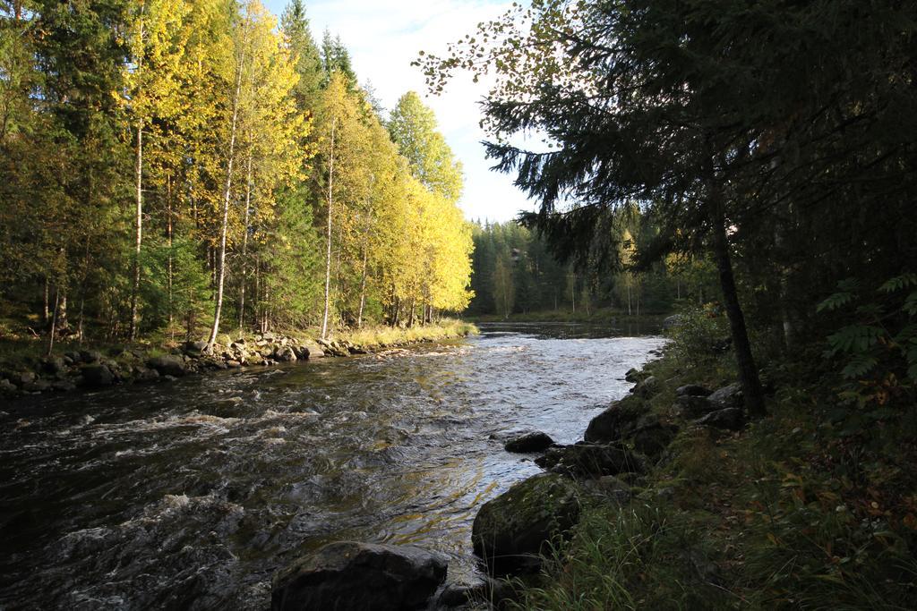 Keskikosken Lomamoekit Venajanjarvi Exteriér fotografie